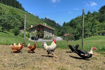 Agroturismo Urresti