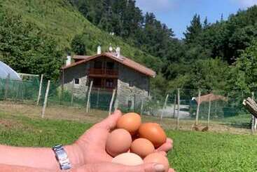Agroturismo Urresti