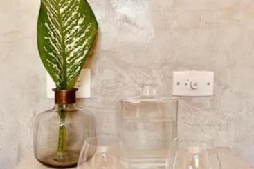 هتل Apartments & Suites Madre Holbox Selfcheck In