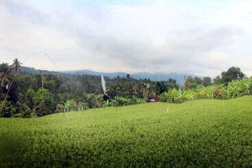 Bed and Breakfast Villa Ipsa