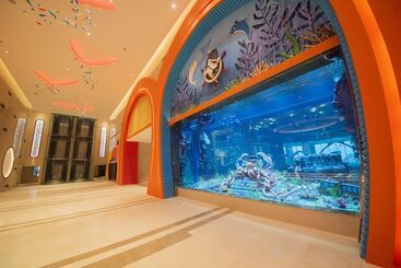 هتل Dolphin Bay