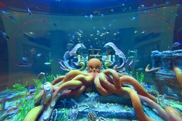 هتل Dolphin Bay