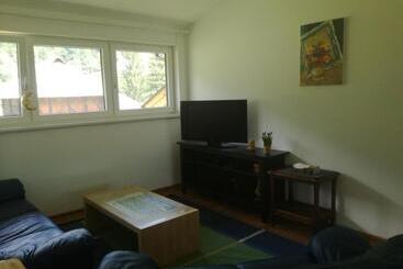 Chalet Kammleitn