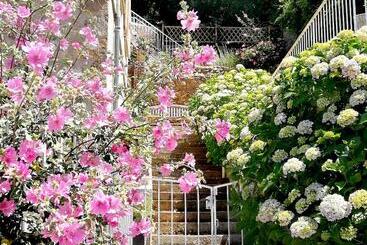 تختخواب و صبحانه La Dolce Vita Justine