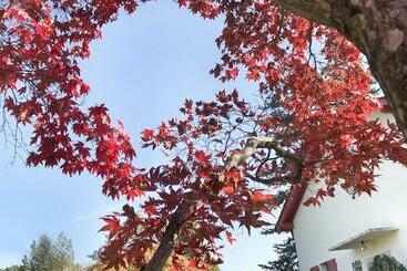 تختخواب و صبحانه Lindo Lugar   Just A 7 Minute Walk From The Airport