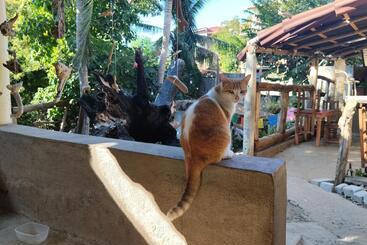 پانسیون Ivanna Hostel Mazunte