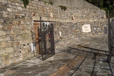 Villa Lice Verici