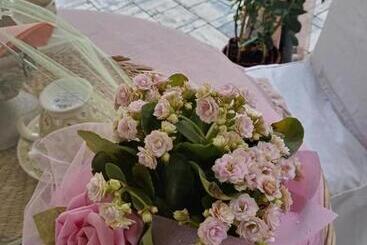 تختخواب و صبحانه Bb Lady