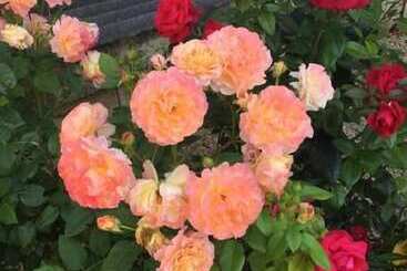 مبيت وإفطار La Maison De Milie