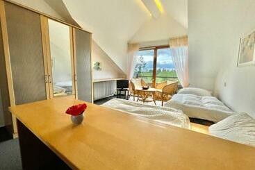 Pension Linz