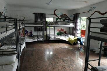 هاستل La Casa Verde