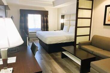 هتل Best Western Plus Jfk Inn & Suites