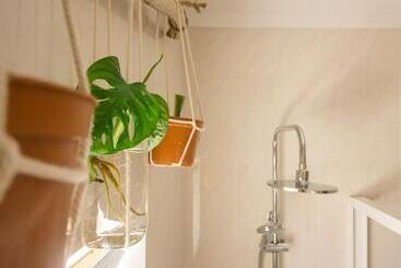 پانسیون Lemontree Eco Surfhouse