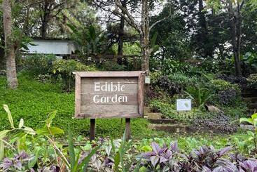 Casa Ayesha Sweet Staycation At La Bella Tagaytay