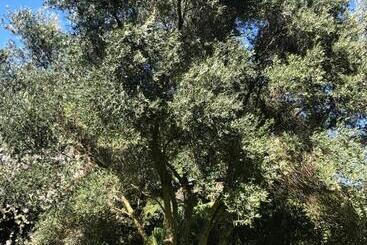تختخواب و صبحانه Le Nid Des Corbières
