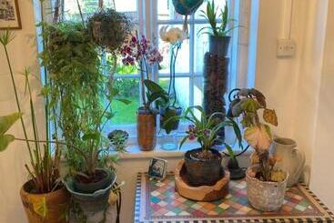 Art House B & B