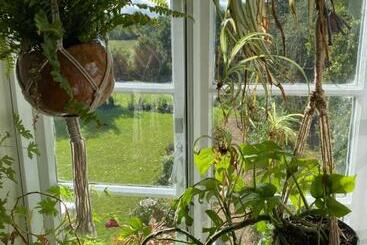 Art House B & B