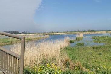 B&b Op De Terp