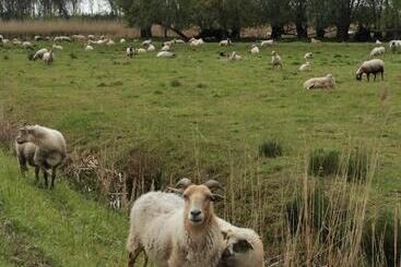 B&b Op De Terp