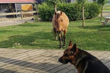 B&b Op De Terp