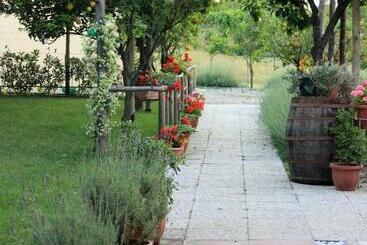 تختخواب و صبحانه Terra E Cielo