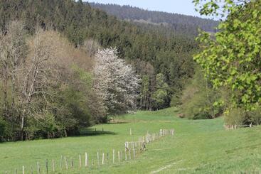تختخواب و صبحانه Le Clos Du Cerf   Silence & Nature