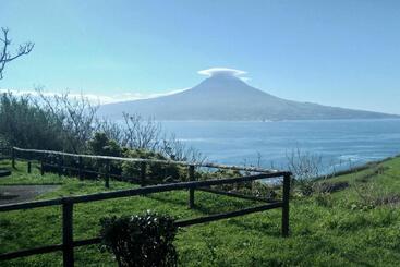 Faial Cottage B&b