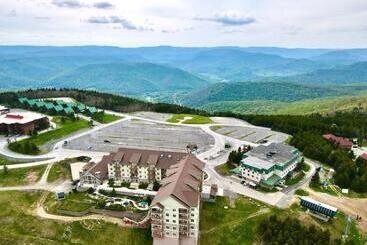 Remodeled Ski In Out   305 Soaring Eagle   Luxury!