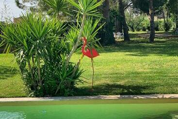 تختخواب و صبحانه Le Patio, Chambres D Hôtes Pour Adultes En Camargue, Possibilité De Naturisme à La Piscine