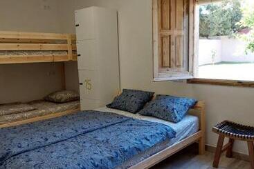 Zenia Hostel