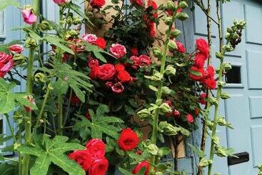 تختخواب و صبحانه Chez Hortense