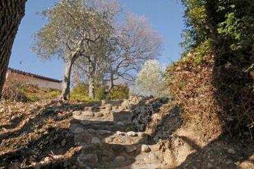 پانسیون Les Chambres D Hôtes De Valensole Au Pays Des Lavandes Et Proche Des Gorges Du Verdon