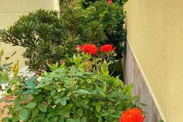 تختخواب و صبحانه Villa 8 Islas