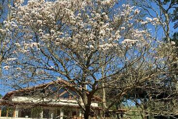 פנסיון Pousada Gardenian