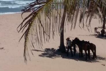 פנסיון Suites D´artiste For Couple