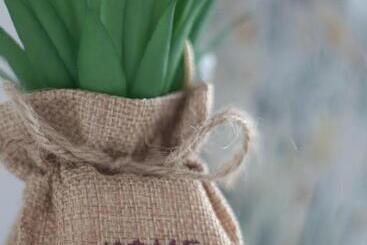 تختخواب و صبحانه Vila Douro Guesthouse