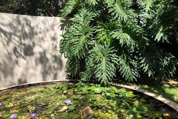 پانسیون Guest House At 118 By Pwm Architects