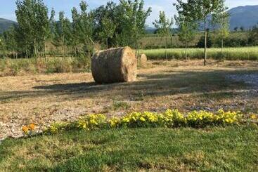 Il Girasole B&b