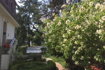 پانسیون Villa Harmonie
