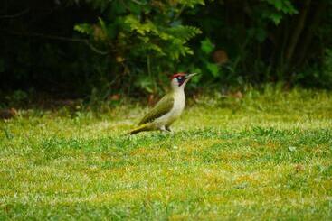 Bed and Breakfast Le Manoir De Louviers