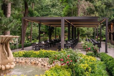 هتل Ng Sapanca Wellness & Convention