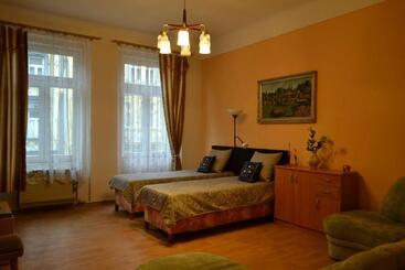 Apartments  Vintag  Teplice