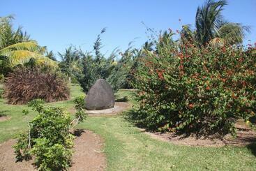 تختخواب و صبحانه Domaine Des Oiseaux Réunion