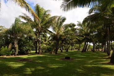 تختخواب و صبحانه Domaine Des Oiseaux Réunion