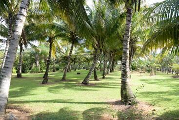 تختخواب و صبحانه Domaine Des Oiseaux Réunion