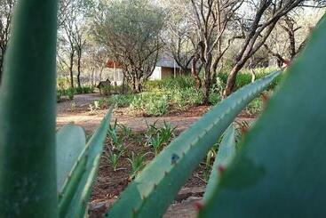 تختخواب و صبحانه Tidimalo Lodge