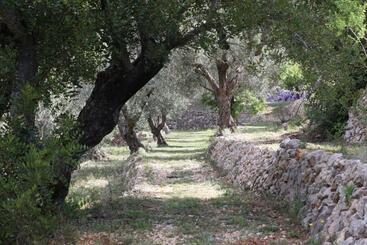 تختخواب و صبحانه Villa Foia Vella   Adults Only