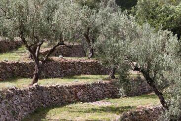تختخواب و صبحانه Villa Foia Vella   Adults Only