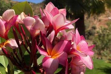 Finca Las Hierbas B&b