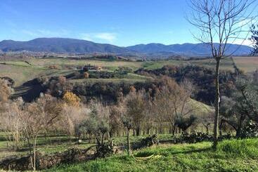 تختخواب و صبحانه Corte Buenavista